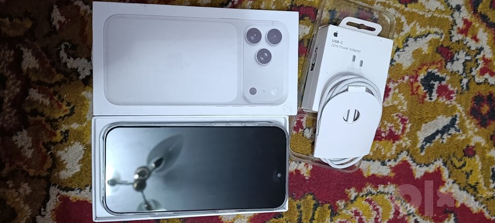 iPhone 17 pro max
