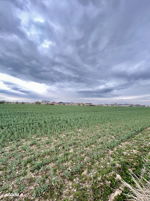 Teren premium 4000 mp – Cartier Grigorescu