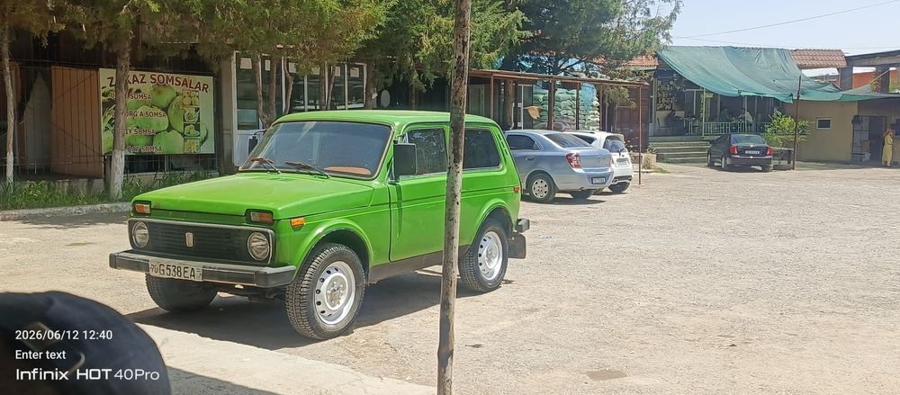 Radnoy NIVA 4 balon yangi chirigi yoʻq suvarka tegmaga li salon qiling