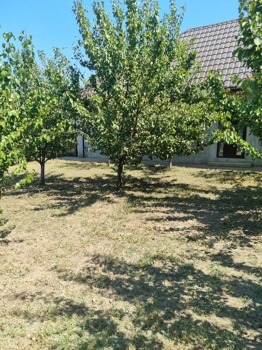 Casa de vanzare -Odaia Manolache Galati