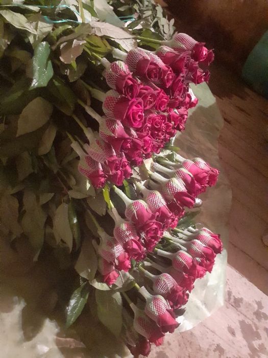 Роза гүлдер оптом бағада