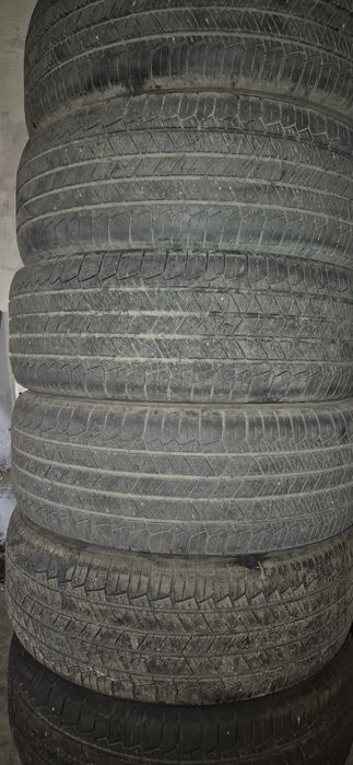 Резина лето. Tigar