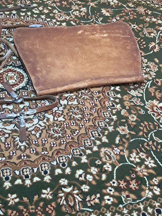 Ер тоқым егар күмістен ыстелвнген