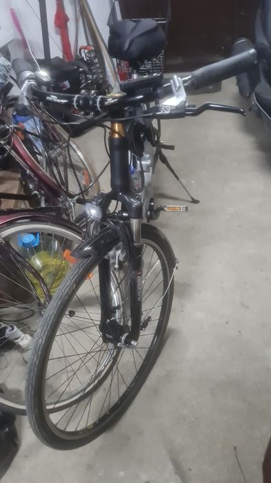 Bicicleta electrica Railegh evo 380 germana