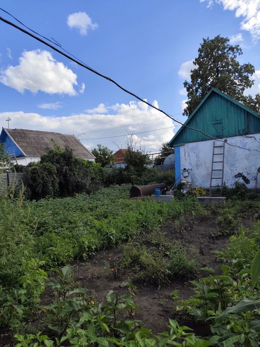 Дом в черте города.