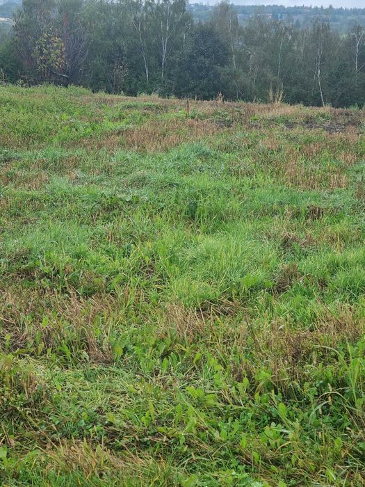 Vând teren intravilan