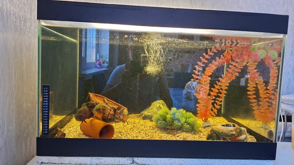 Продам аквариум на 130 литров