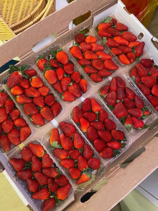 В наличии клубника в шоколаде