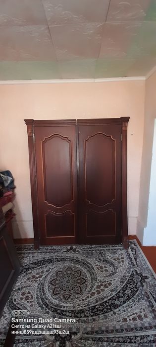 Двери/Таза агаштан есик