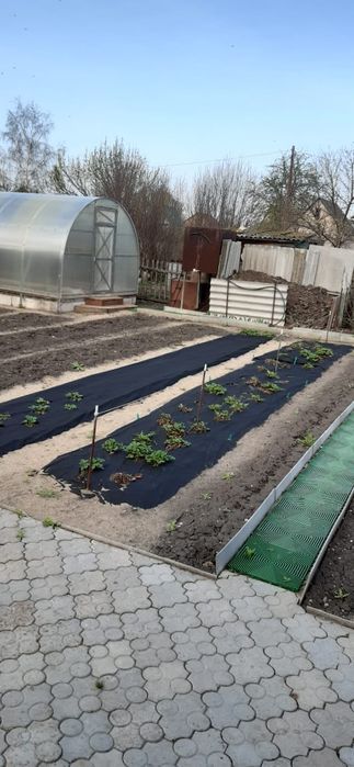 Продам дачу в обществе Ромашка