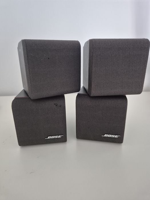 Boxe Bose double-cub
