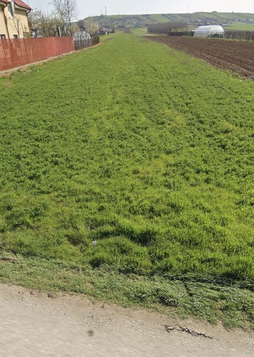 Teren intravilan Simnicul de Sus