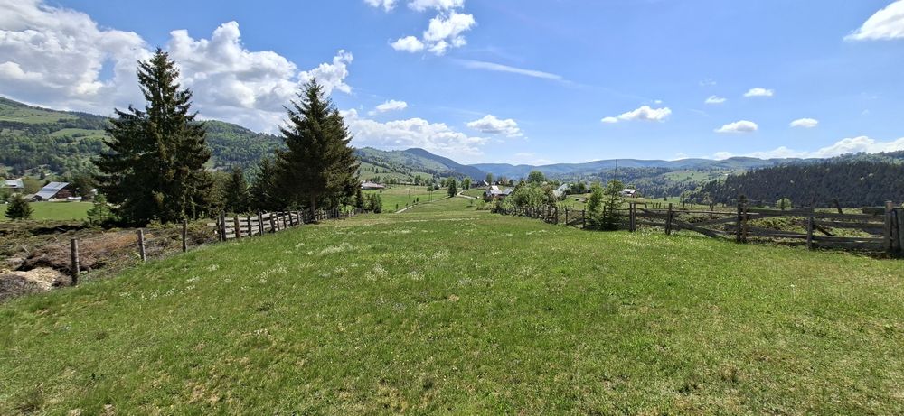 Teren 6924 mp Arieșeni.