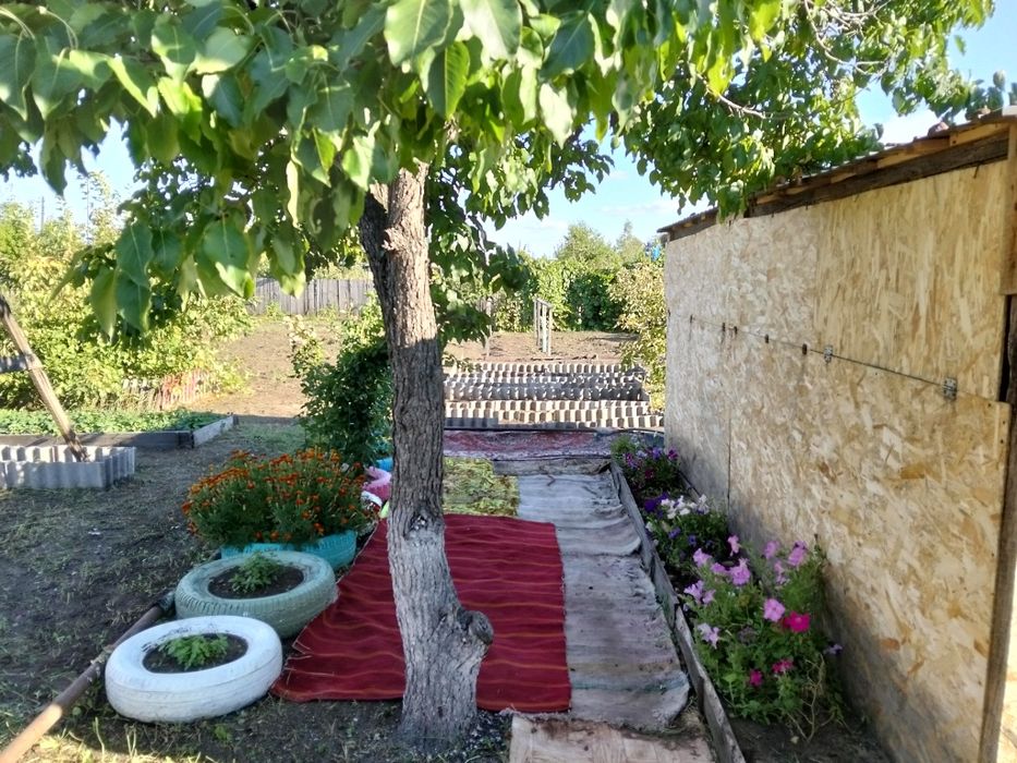 Продам дачу 1 общество