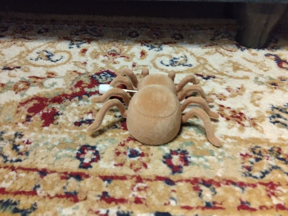 Паук игрушка на колесиках