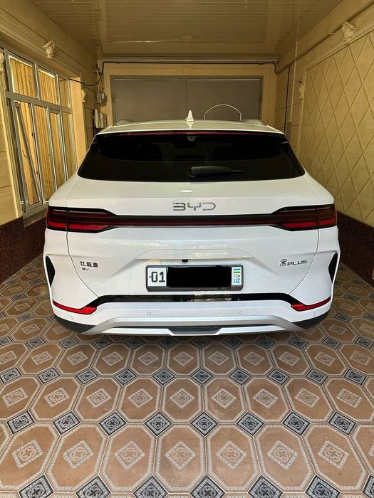BYD Chempion Smart 2025