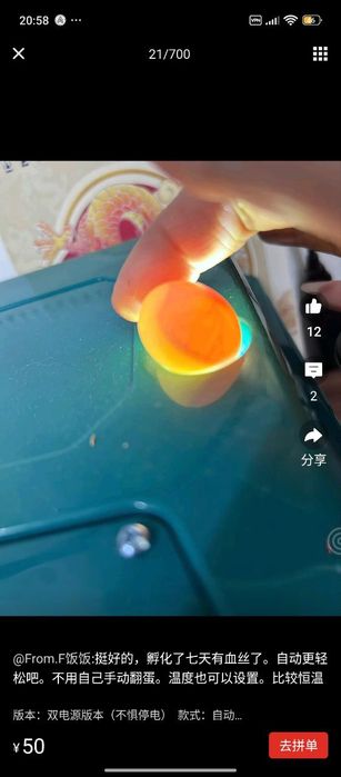 Инкубатор - universal, har xil tuxum ochadigan(to‘liq avtomatik) xitoy