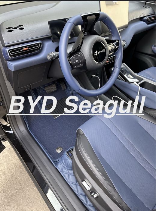 9D polik / коврики для Byd Seagull