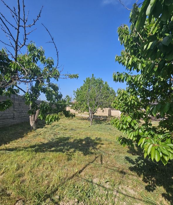 Дурмон Қ.Ф.Й. Янги Арген маҳ. 3 сотих ер участкаси сотилади.