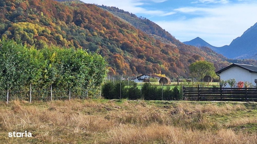 Teren 1000mp cu PUZ in Rasnov, Glajerie