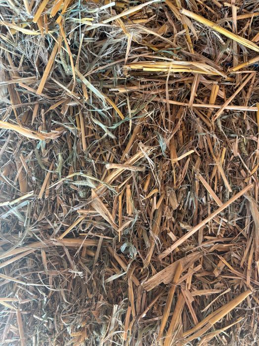 Vând baloți paie de ovăz