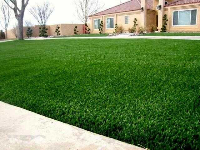 Качественный газон для стадионов и дома. Первые руки, оптовая цена