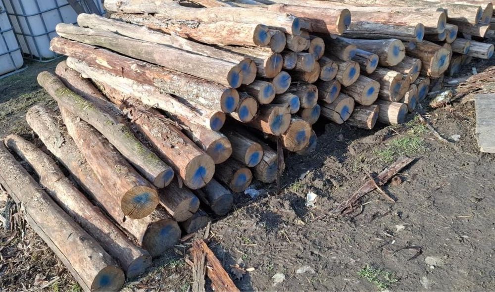 Vând stalpi /gard salcâm/castan