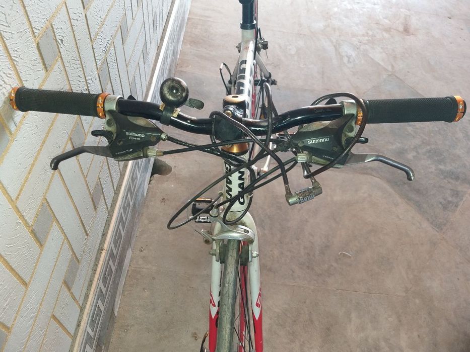 Velosiped GIANT (sporting. professional)