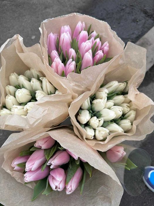 Тюльпаны Мелкий опт Голландия и Беларусь