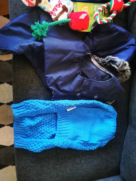 Accesorii cățel talie medie/mare