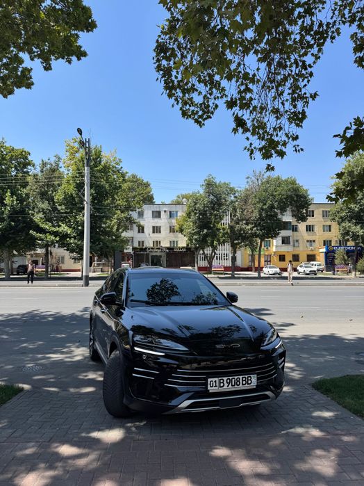 BYD chempion 110 km