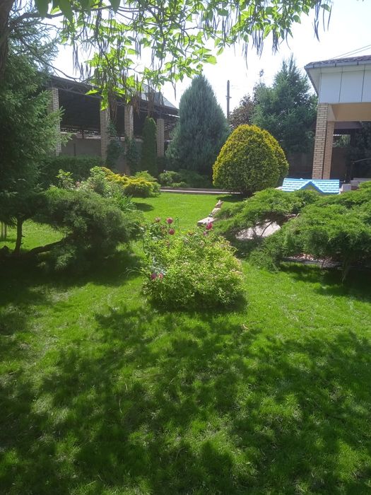 Посевной рулонный газон