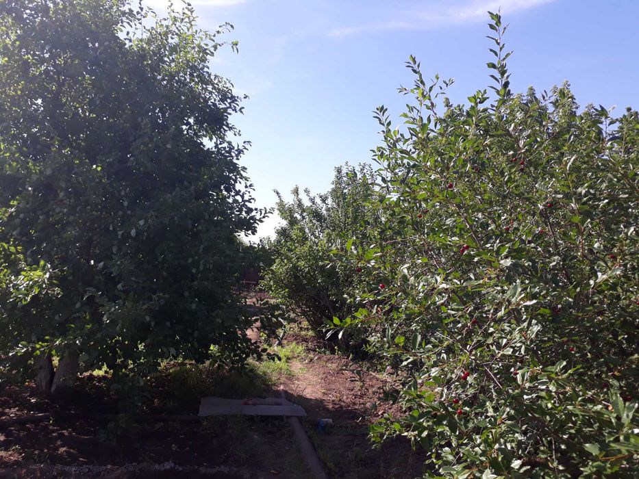 Продам дачу в черте города (район гипермаркет Анвар)