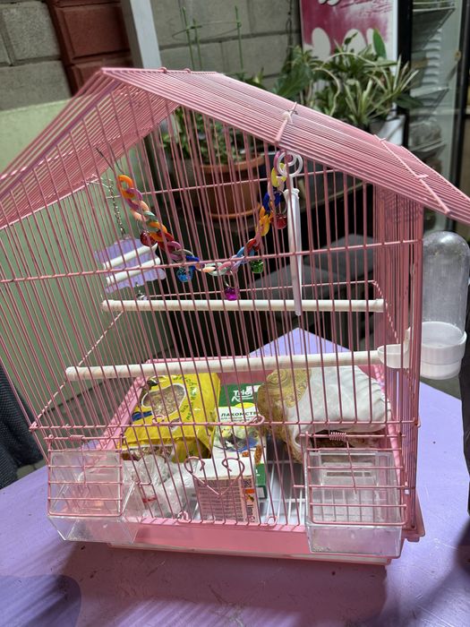 Клетка для папугая