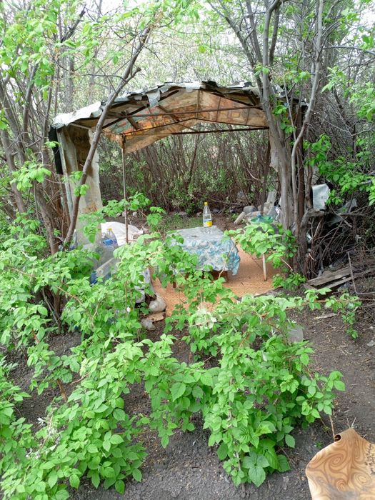 Продам дачу в кооперативе АЗФ7