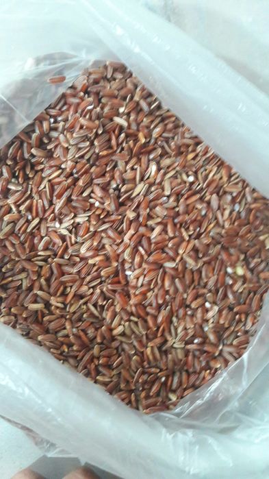 Продаю Чёрный рис