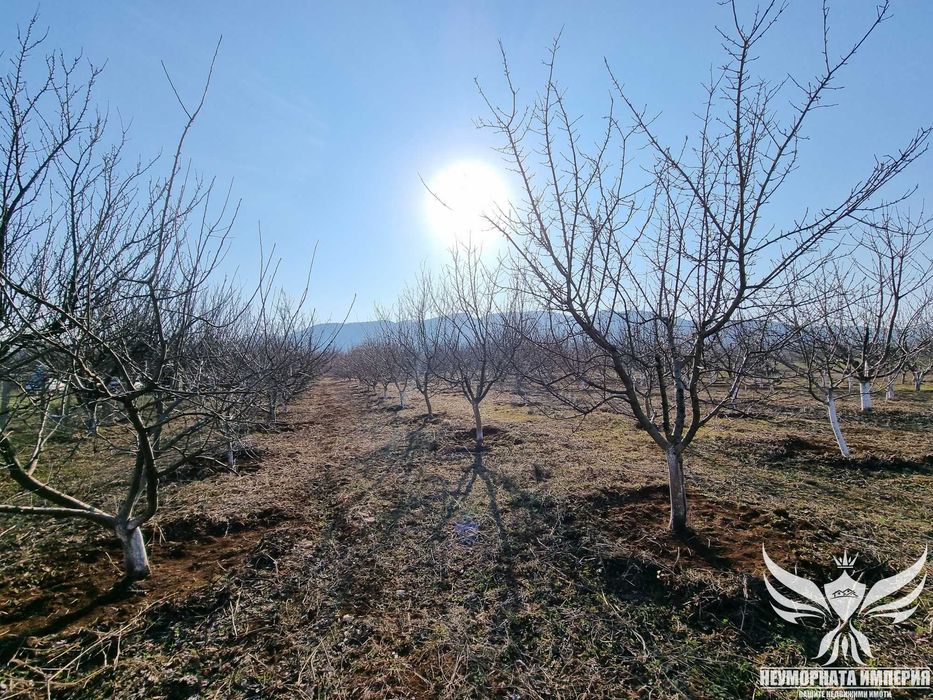 Продавам овощна градина 5421кв.м. в село Долнослав общ.Асеновград