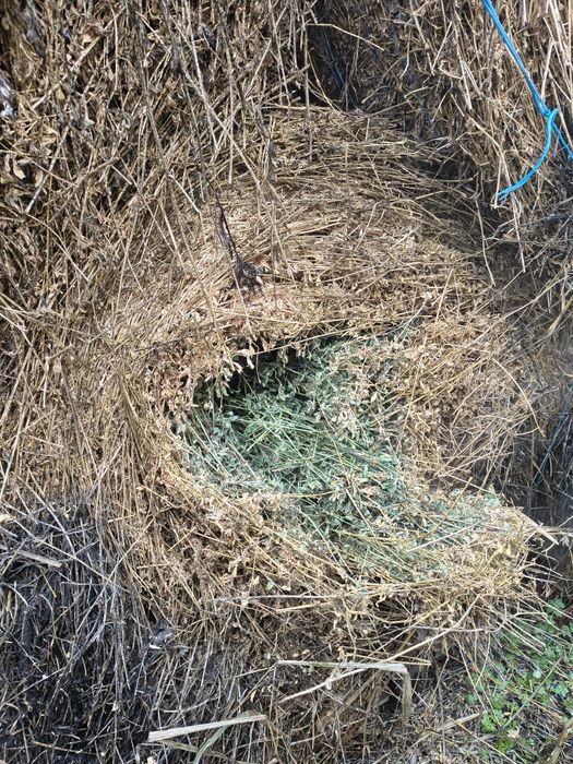 Baloți rotunzi de lucernă