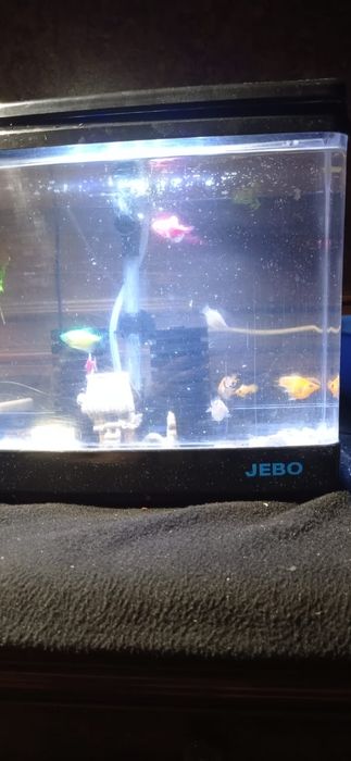 Заводской аквариум 15 литров