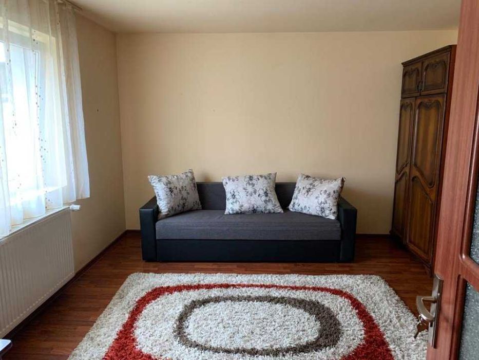 Casă spațioasă + 3000mp teren, foraj 120m, zonă pitorească in Balint