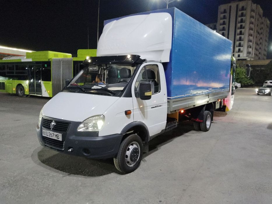 Gazel, газел  5.20