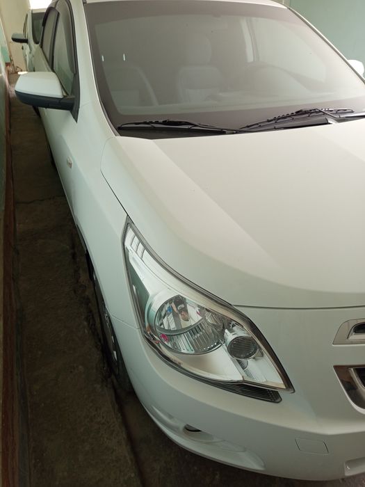 янгидай турибти,