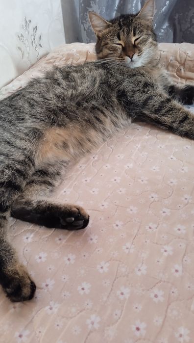 Mushukni haqiyaga beramiz