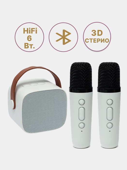 Караоке с  2мя микрафонами