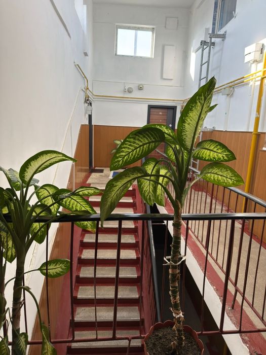 Apartament cu 4 camere Progresul