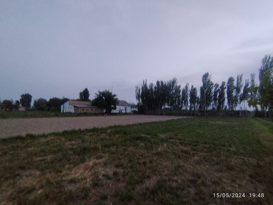 Yer sotiladi 22 sotq 19$ming kelshamiz