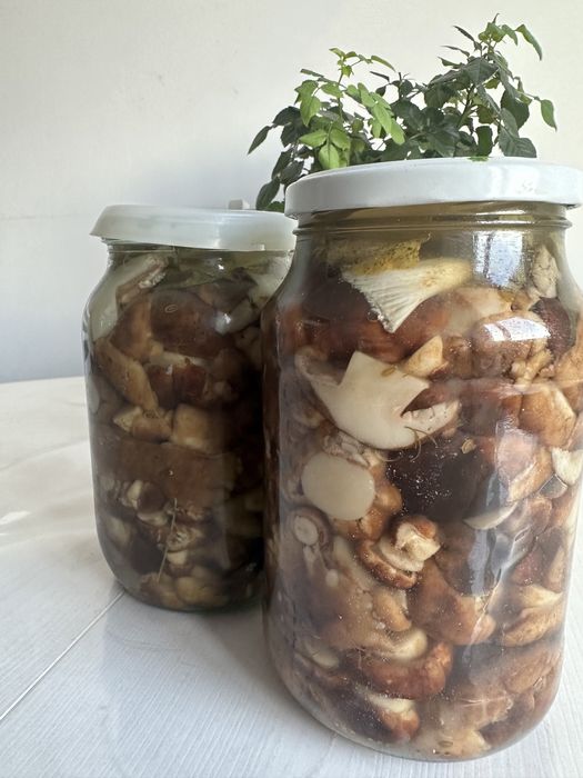 Валуи 2025 года