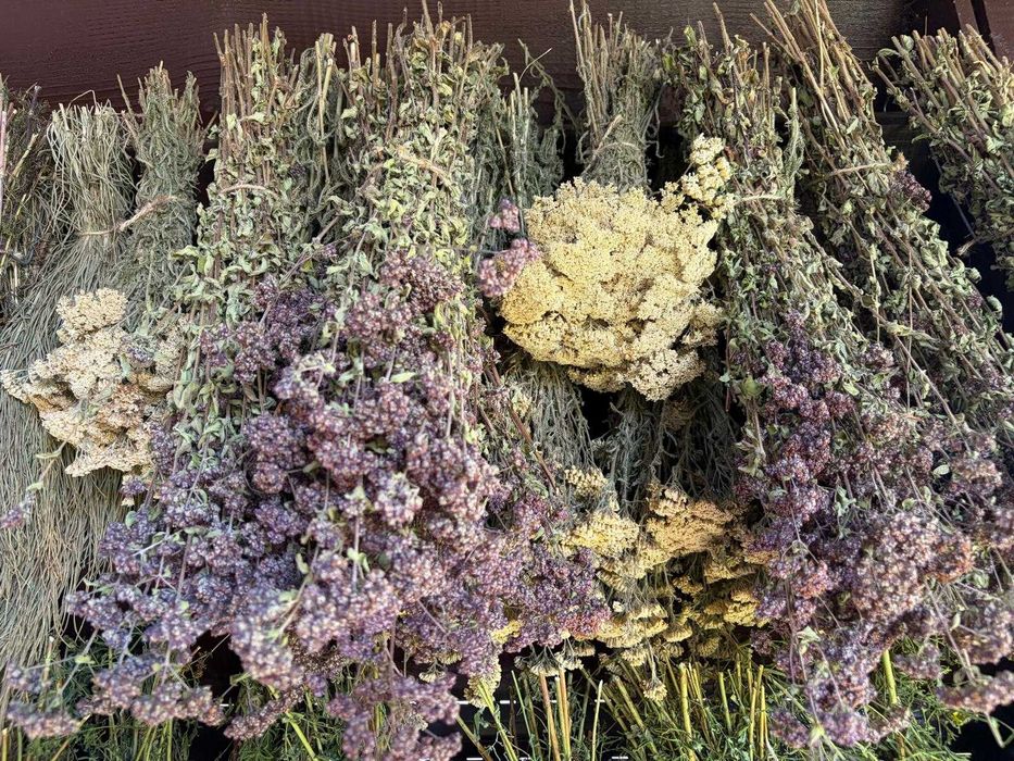 Coada calului, sunatoare, sovarf si alte plante medicinale