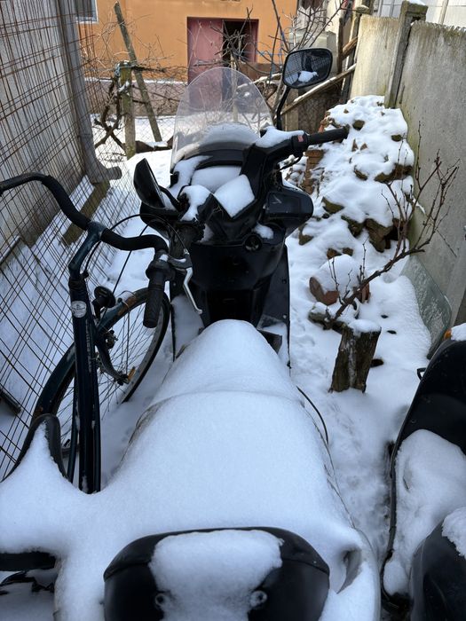 Vand Scuter dezmembrat