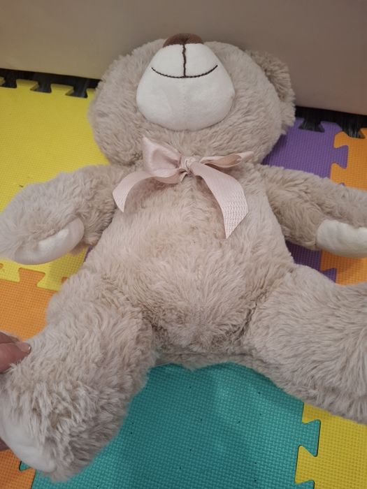 Ursulet plus foarte simpatic